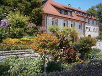 Alles grünt und blüht