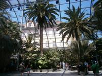 Im Palmenhaus des Schlosses