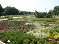 Heidegarten Schneverdingen