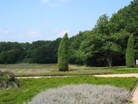 Blick in die Heide, Schneverdingen