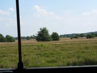 Blick auf die Heide, Undeloh