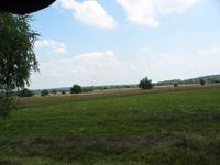 Heidelandschaft, Undeloh