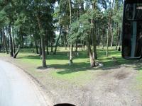 Impressionen aus dem Serengetipark Hodenhagen