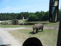 Impressionen aus dem Serengetipark Hodenhagen