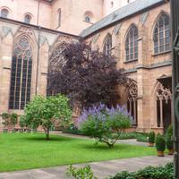 Mainzer Dom - Kreuzgang