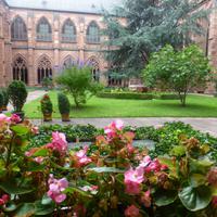 Mainzer Dom - Kreuzgang