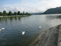 Rhein bei Koblenz