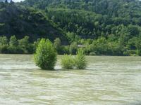 Der Rhein bei Hochwasser