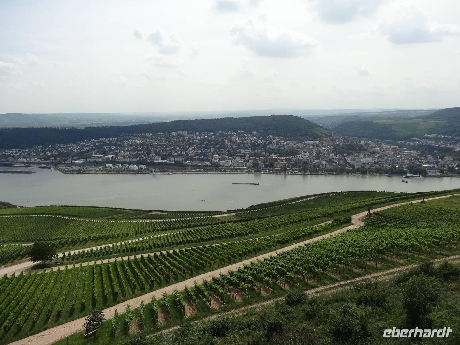 Blick auf den Rhein vom Niederwalddenkmal
