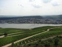 Blick auf den Rhein vom Niederwalddenkmal