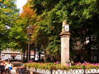 Celle - Brunnen mit Stadtwappen