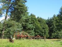 auf dem Schäferhof bei Neuenkirchen