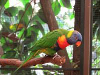 Im Vogelpark Walsrode