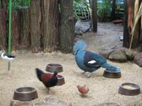 Im Vogelpark Walsrode 