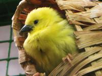 Im Vogelpark Walsrode