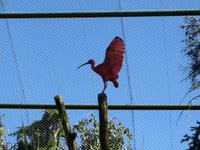 Im Vogelpark Walsrode