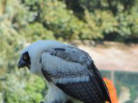 Im Vogelpark Walsrode