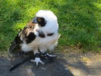 Im Vogelpark Walsrode