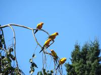 Im Vogelpark Walsrode