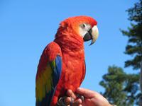 Im Vogelpark Walsrode