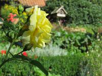 Bauerngarten im Vogelpark Walsrode