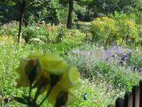 Bauerngarten im Vogelpark Walsrode