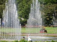 Im Vogelpark Walsrode - wilder Storch auf der Durchreise