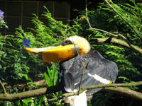 Im Vogelpark Walsrode 