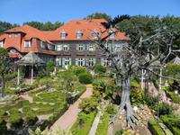 eiserner Baum in Iserhatsche