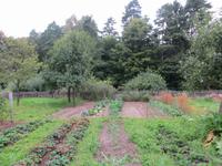 Museumsdorf Hösseringen