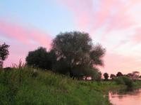 Hotel Allerhof - Abendstimmung an der Aller