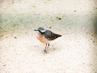 Im Vogelpark Walsrode