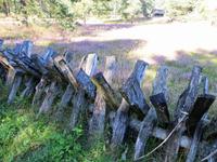 traditionelle Heidelandschaft