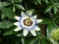 Nord-Ostsee Radtour 2014 076