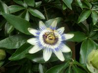 Nord-Ostsee Radtour 2014 077