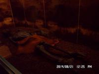 Nord-Ostsee Radtour 2014 269