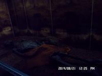 Nord-Ostsee Radtour 2014 270