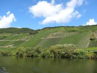 Schifffahrt auf der Mosel