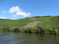 Schifffahrt auf der Mosel