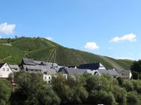 Schifffahrt auf der Mosel