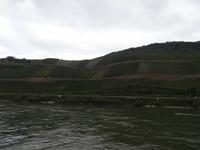 Schifffahrt auf dem Rhein