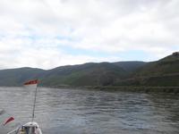 Schifffahrt auf dem Rhein