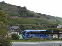 Schifffahrt auf dem Rhein