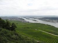 Blick auf den Rhein