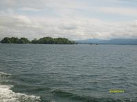 die unbewohnte Krautinsel