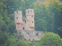 DSCN4815 - Bootsfahrt, Neckarsteinach - Schwalbennest