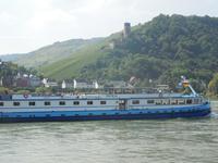 DSCN4901 - Rhein, Ruine Fürstenberg über Rheindiebach