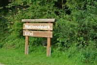 Nationalpark Eifel