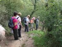 Abstieg vom Pleidenberg
