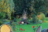 107 Hotel Allerhof - Blick in den Garten